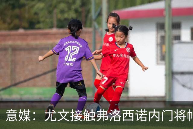 意媒：尤文接触弗洛西诺内门将帕尔米萨尼，身价约600万欧
